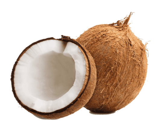 Coconut