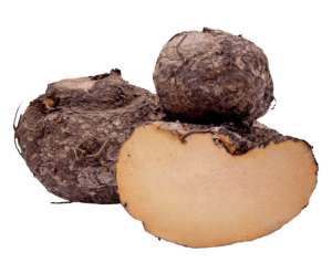 Suran / Yam