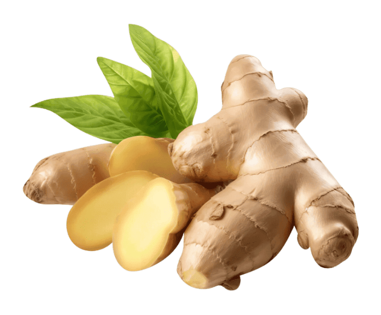 Ginger