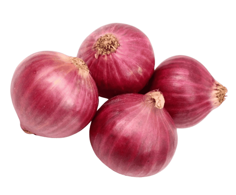 Onion