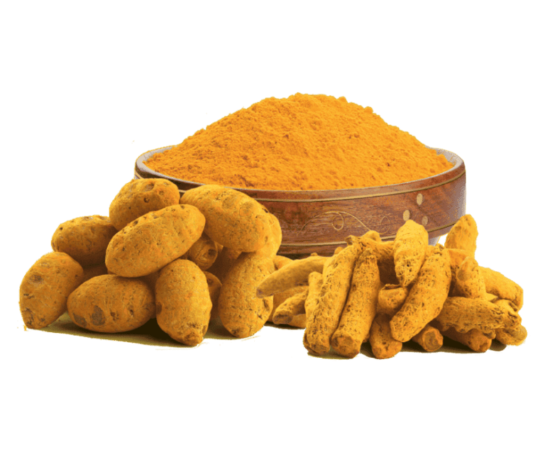 Turmeric Powder